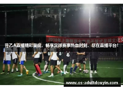 芬乙A直播精彩呈现，畅享足球赛事热血时刻，尽在直播平台！